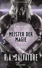 Buchcover Die Heimkehr 1 - Meister der Magie