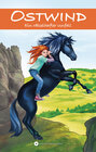 Buchcover Ostwind - Ein rätselhafter Unfall