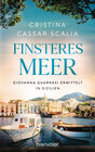 Buchcover Finsteres Meer