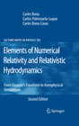 Buchcover Elements of Numerical Relativity and Relativistic Hydrodynamics