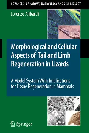 Buchcover ISBN 9783642037320