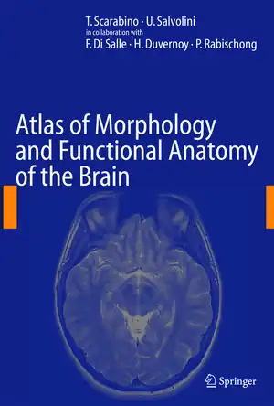 Buchcover ISBN 9783642067426