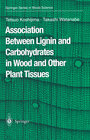 Buchcover Association Between Lignin and Carbohydrates in Wood and Other Plant Tissues
