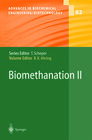 Buchcover Biomethanation II