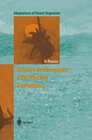 Buchcover Desert Arthropods: Life History Variations