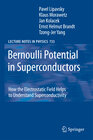 Buchcover Bernoulli Potential in Superconductors