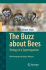 Buchcover The Buzz about Bees