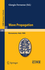 Buchcover Wave Propagation