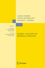 Buchcover Global Analysis of Minimal Surfaces