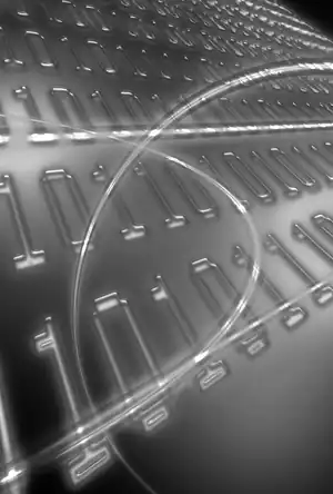 Buchcover ISBN 9783642131660