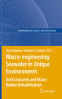 Buchcover Macro-engineering Seawater in Unique Environments