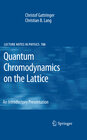 Quantum Chromodynamics on the Lattice width=