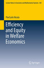 Buchcover Efficiency and Equity in Welfare Economics