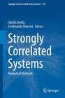 Buchcover Strongly Correlated Systems