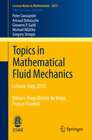 Buchcover Topics in Mathematical Fluid Mechanics
