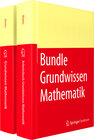 Buchcover Grundwissen Mathematikstudium mit Arbeitsbuch