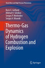 Buchcover Thermo-Gas Dynamics of Hydrogen Combustion and Explosion