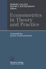 Buchcover Econometrics in Theory and Practice
