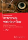 Buchcover Müller/Bährmann Bestimmung wirbelloser Tiere