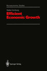 Buchcover Efficient Economic Growth