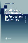 Buchcover Equilibrium and Efficiency in Production Economies