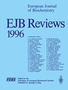 Buchcover EJB Reviews 1996