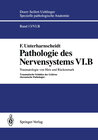 Buchcover Pathologie des Nervensystems VI.B