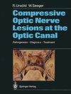 Buchcover Compressive Optic Nerve Lesions at the Optic Canal