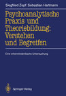 Buchcover Psychoanalytische Praxis und Theoriebildung: Verstehen und Begreifen