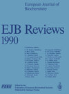 Buchcover EJB Reviews 1990