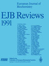Buchcover EJB Reviews 1991