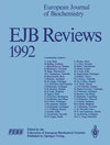 Buchcover EJB Reviews
