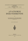 Buchcover Anatomie der Sehrinde