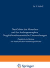 Buchcover Das Gebiss des Menschen und der Anthropomorphen. Vergleichend-anatomische Untersuchungen