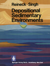 Buchcover Depositional Sedimentary Environments