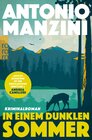 Buchcover In einem dunklen Sommer