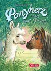 Buchcover Ponyherz 16: Ponyherz findet einen Freund