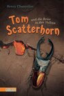 Buchcover Tom Scatterhorn, Band 2: Tom Scatterhorn und die Reise in den Vulkan