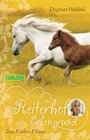 Buchcover Reiterhof Erlengrund 4: Das Fohlen Filina