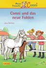 Buchcover Conni-Erzählbände 22: Conni und das neue Fohlen