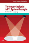 Buchcover Tiefenpsychologie trifft Systemtherapie