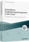 Buchcover Betriebliches Eingliederungsmanagement in der Praxis - inkl. Arbeitshilfen online