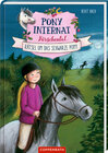 Buchcover Pony-Internat Kirschental (Bd. 3 )