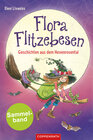 Buchcover Flora Flitzebesen - Sammelband 2 in 1