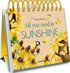 Buchcover All you need is sunshine