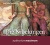 Buchcover Die Nibelungen