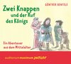 Buchcover Zwei Knappen und der Ruf des Königs