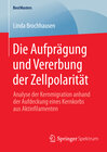 Buchcover Die Aufprägung und Vererbung der Zellpolarität