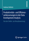 Buchcover Produktivitäts- und Effizienzverbesserungen in der Data Envelopment Analysis