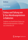 Buchcover Einbau und Faltung von β-Fass Membranproteinen in Bakterien